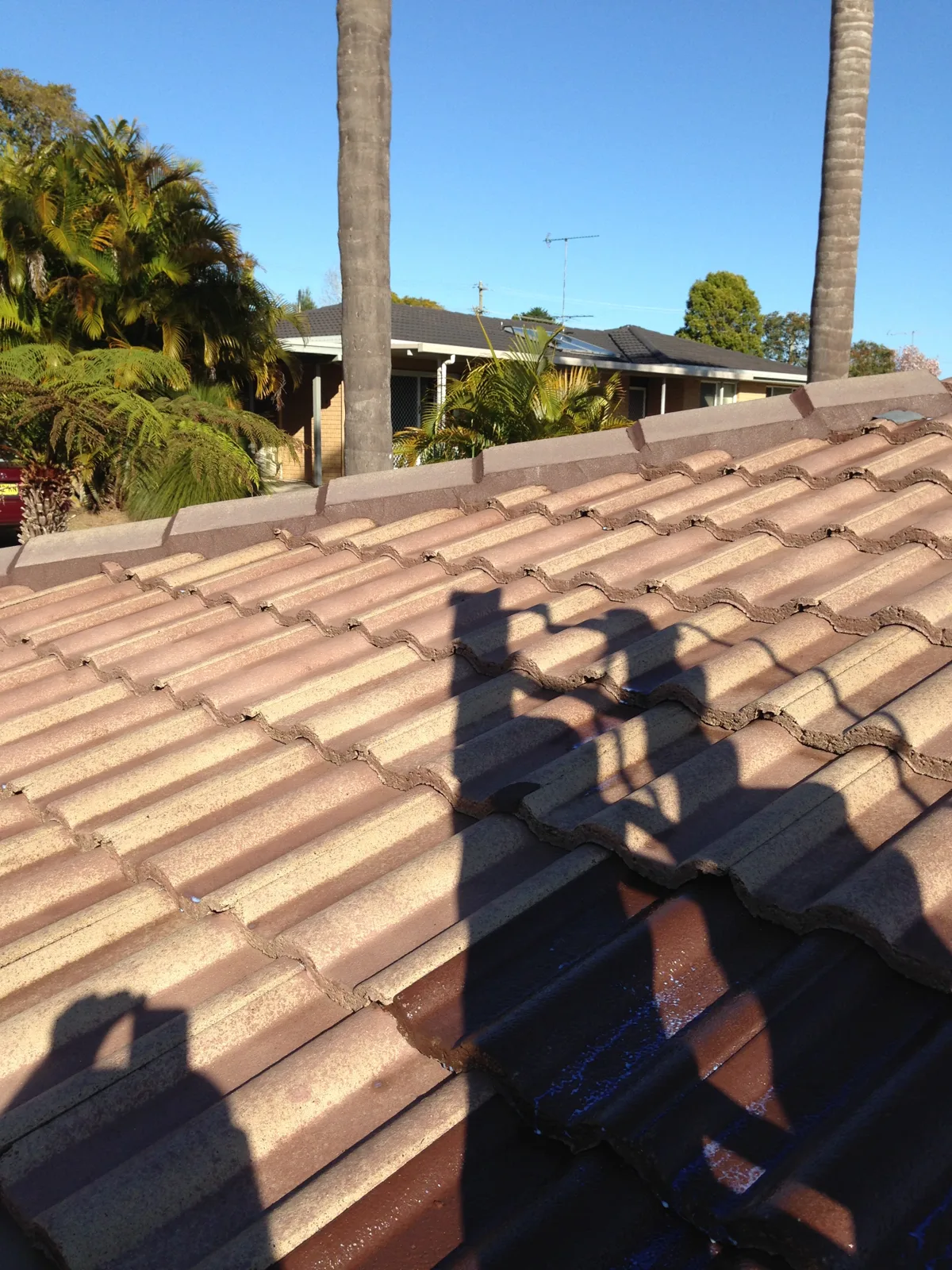 Before — tiled roof before and after roof painting