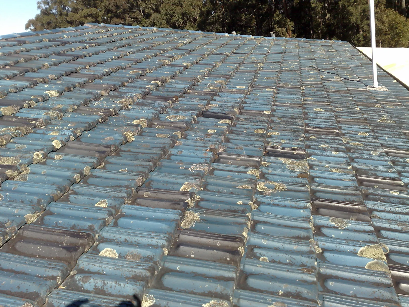 Before — tiled roof before and after pressure cleaning